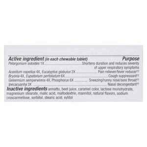 Natures Way Cold + Flu Homeopathic Berry Flavored Tablets 1/20 CT [UNFI #300723] T